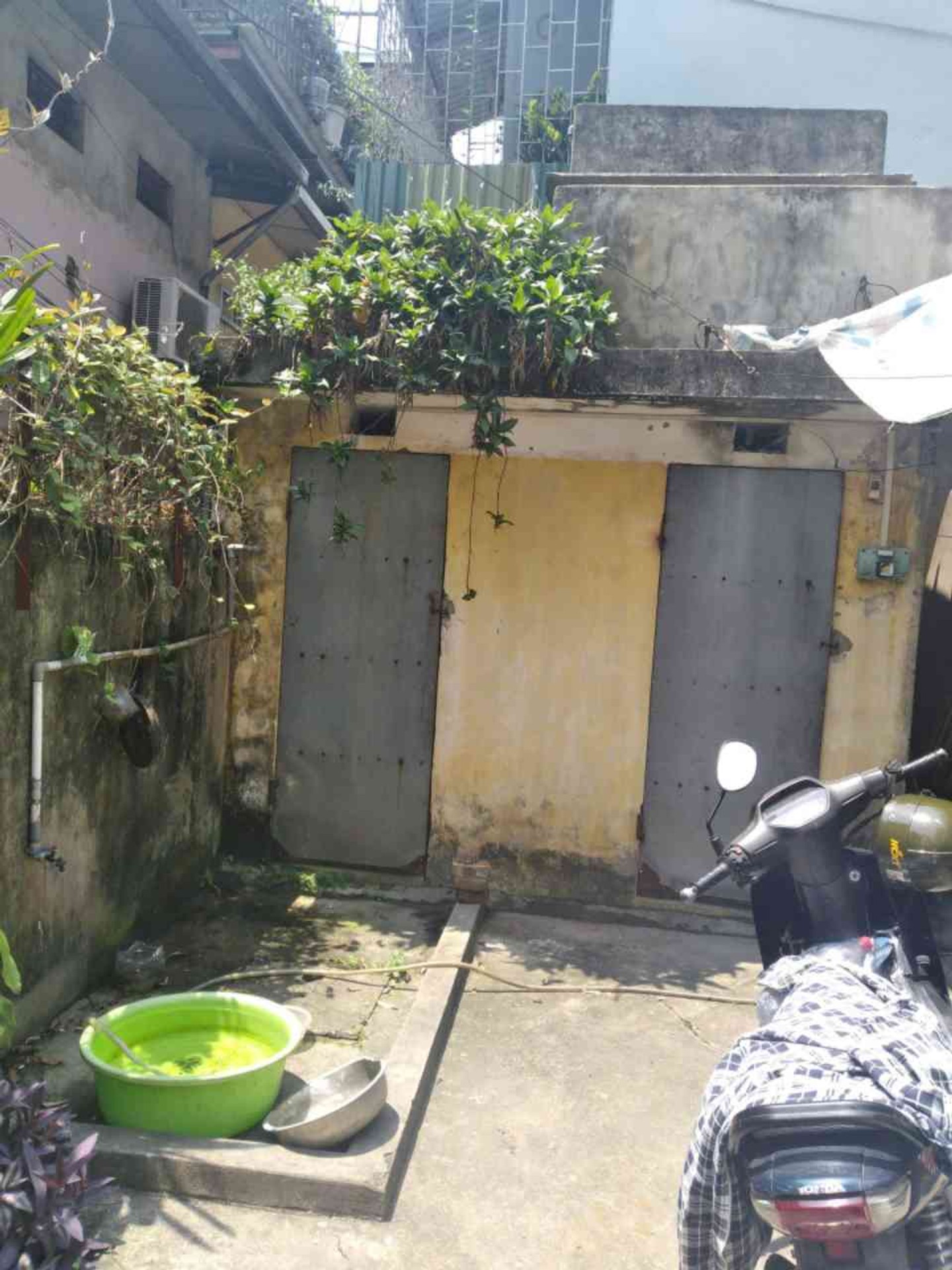 Ảnh đại diện