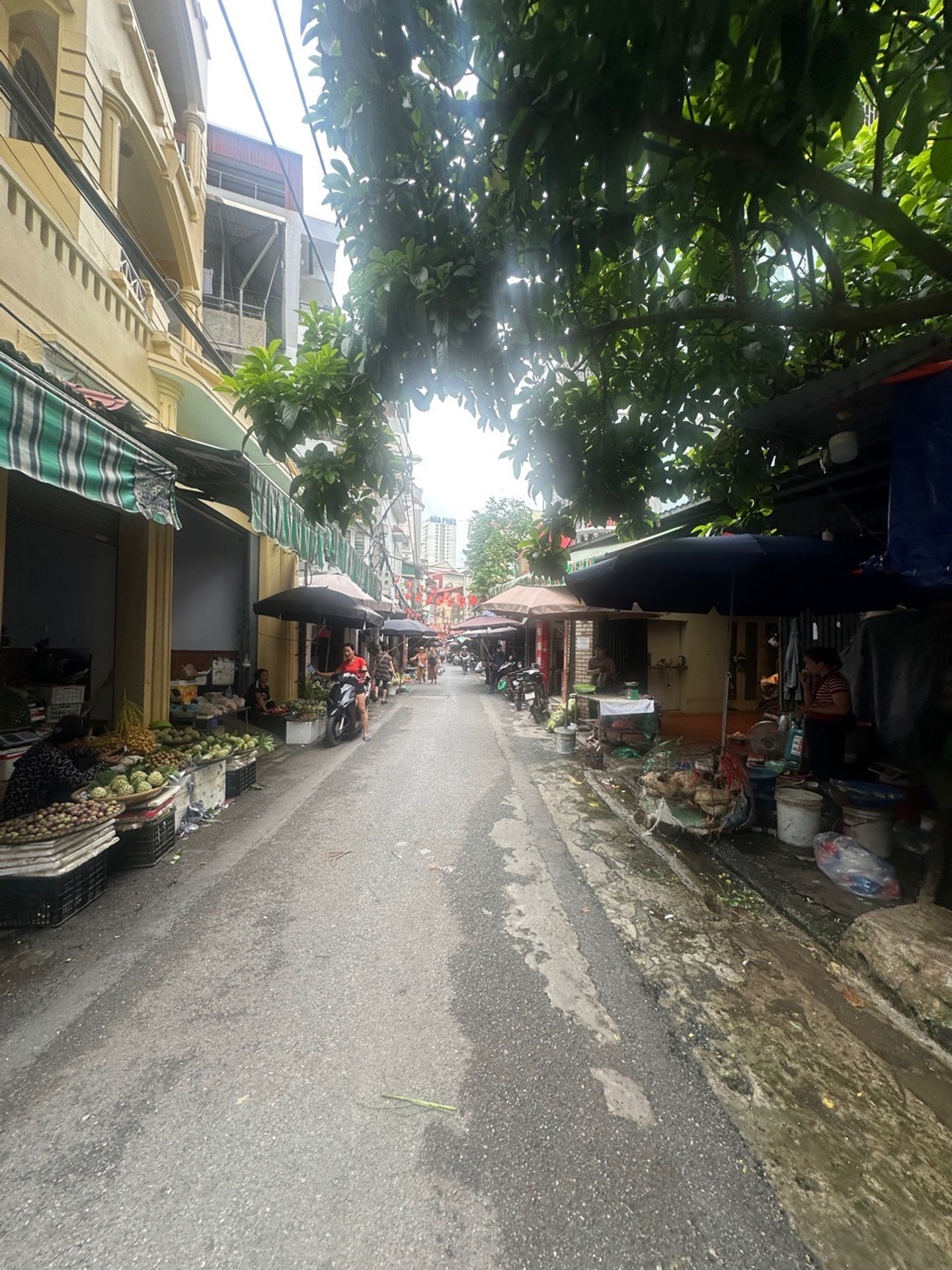 Bán nhà Ngõ Giáp Bát - diện tích 85m2 1 tầng - ô tô vào nhà - giá 29 tỷ