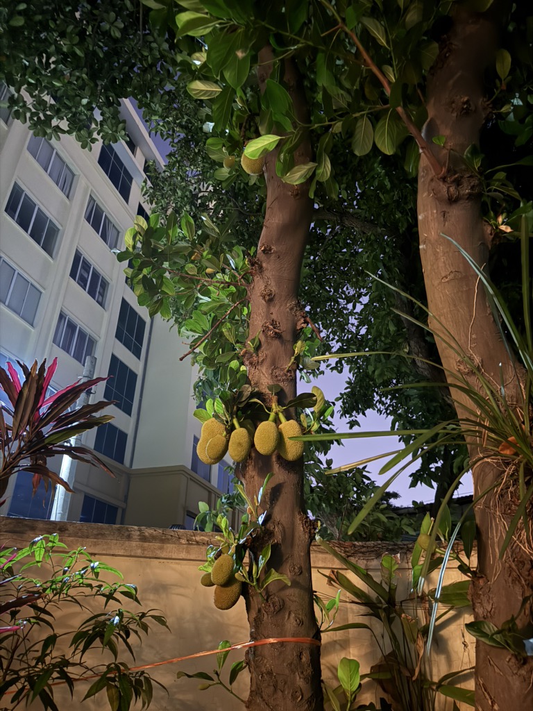 Bán nhà Đội Cấn - diện tích 300m2 4 tầng - BIỆT THỰ GIỮA LÒNG BA ĐÌNH, VỊ TRÍ VÀNG - giá 50 tỷ