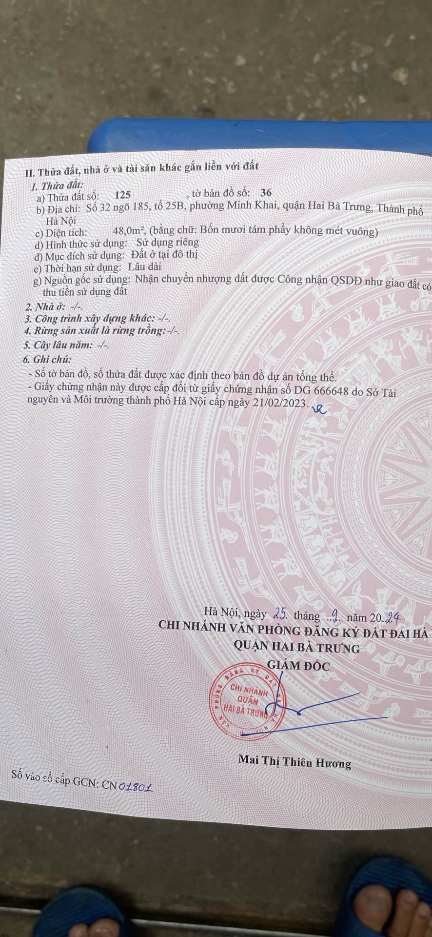 Ảnh đại diện