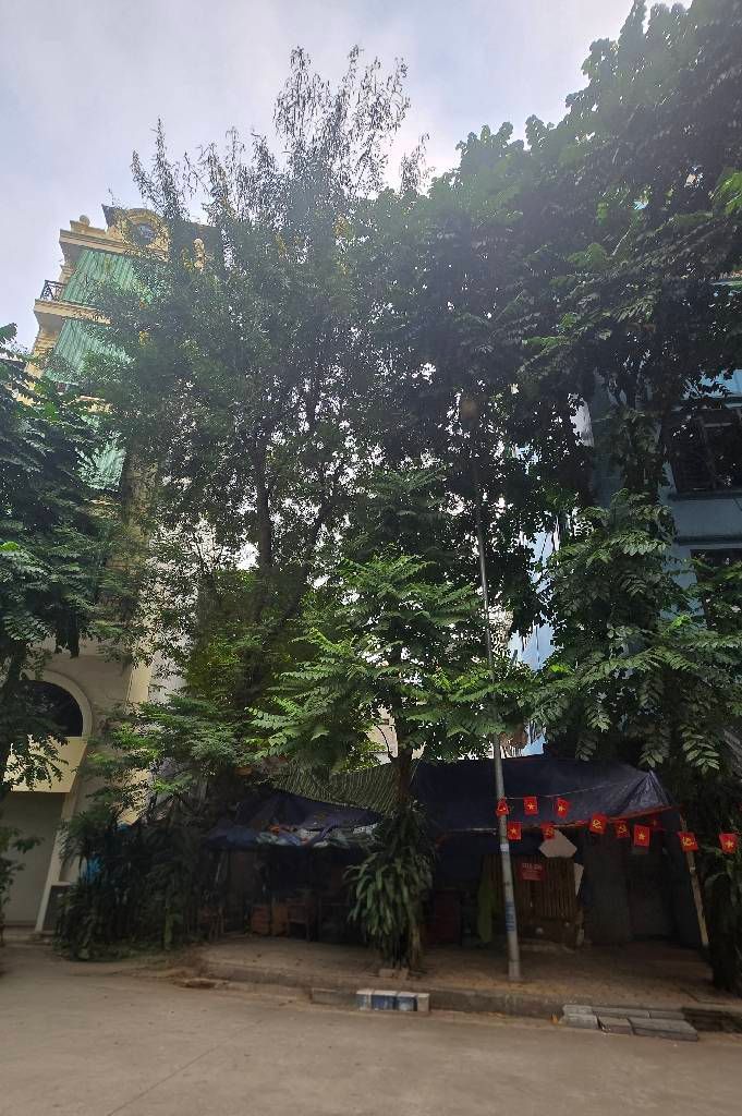 Bán nhà Trần Quang Diệu - diện tích 357m2 1 tầng - Mặt vườn hoa - giá 125 tỷ