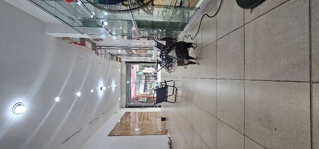 Bán nhà Nguyễn Khuyến - diện tích 79m2 6 tầng - Ô tô tránh vỉa hè - giá 36,5 tỷ