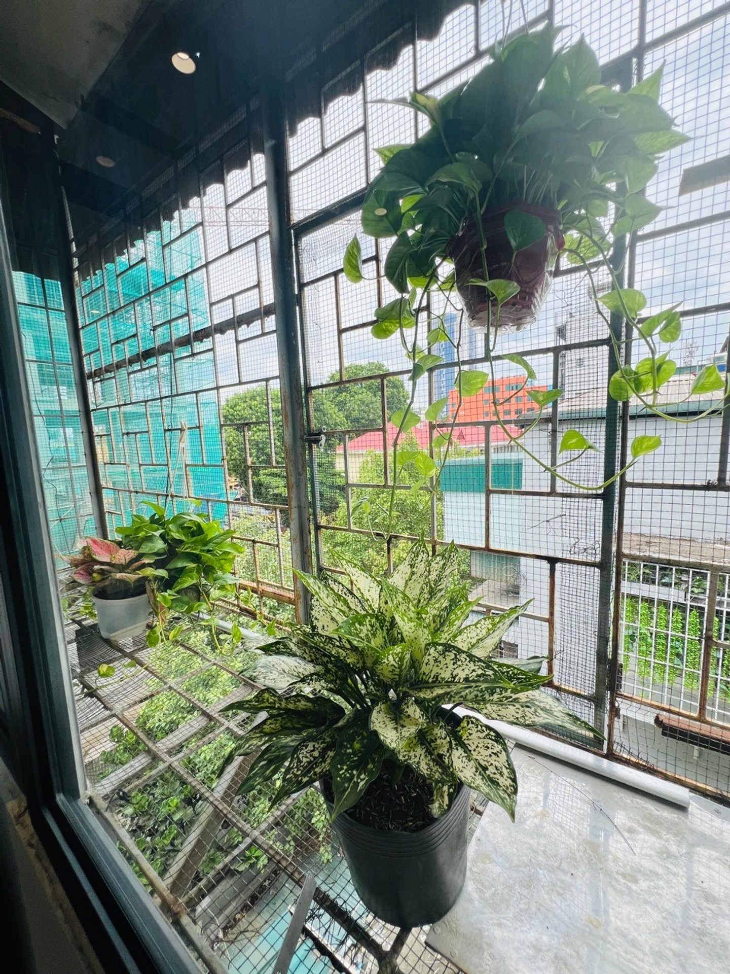 Bán nhà Tây Sơn - diện tích 56m2 1 tầng - Lô góc - giá Nhỉnh 3 tỷ