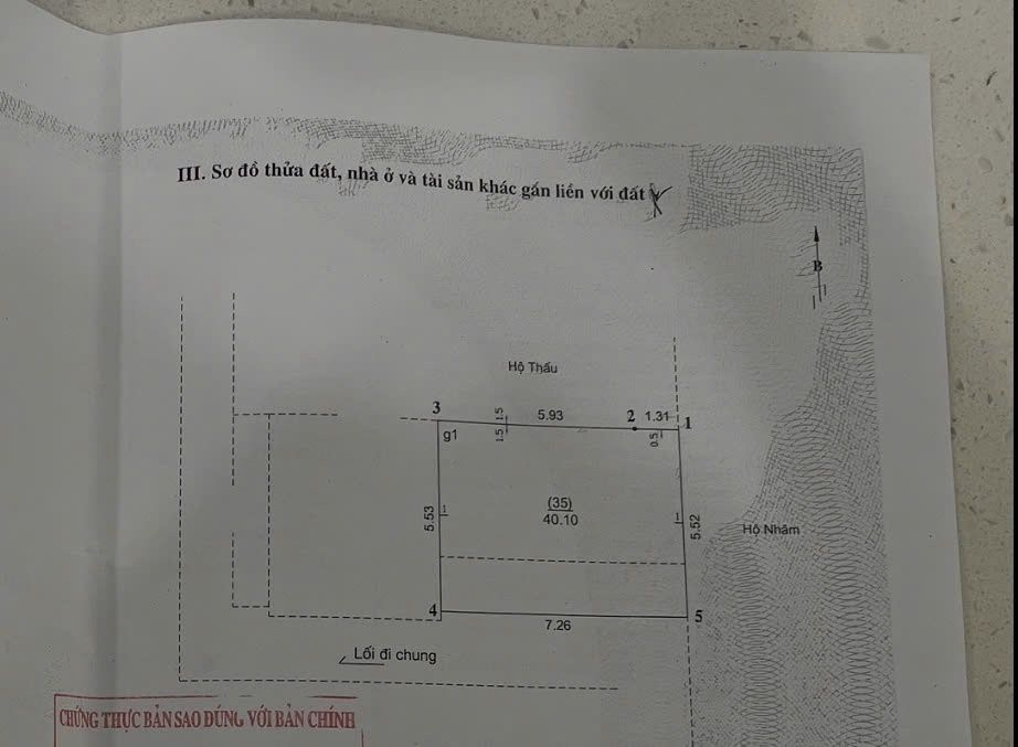 Ảnh đại diện