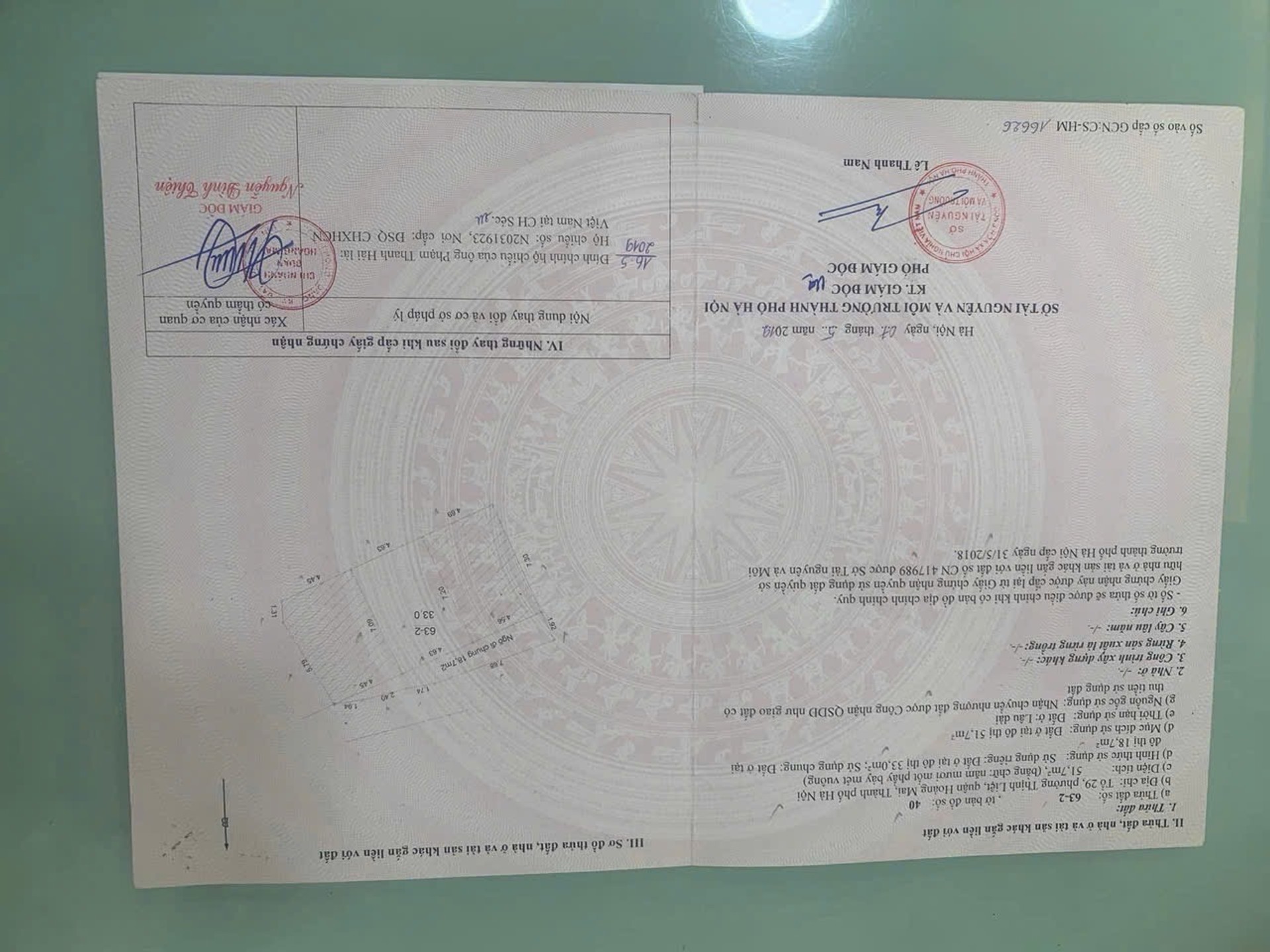 Ảnh đại diện