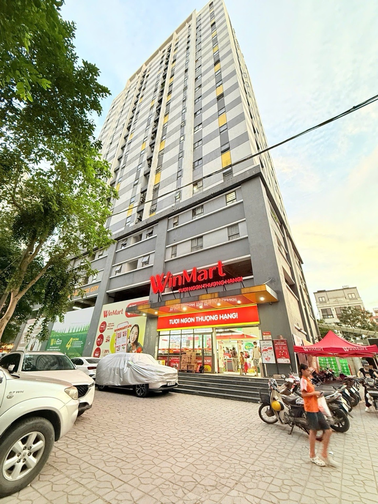 Ảnh đại diện