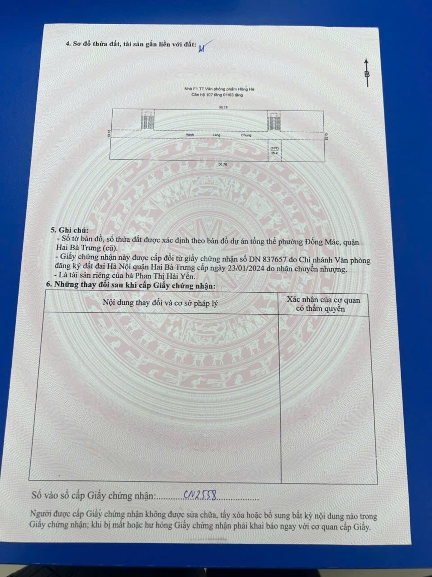 Ảnh đại diện