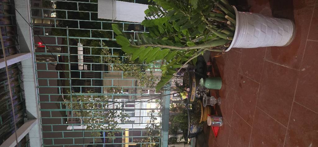 Bán nhà Trương Định - diện tích 110m2 3 tầng - Lô góc 3 thoáng - giá 27,9 tỷ