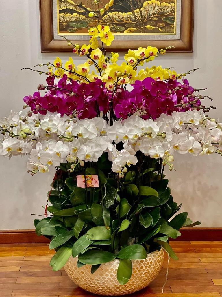 Bán nhà Đoàn Thị Điểm - diện tích 159m2 9 tầng - Ngõ 4 ô tô trở lên - giá 118 tỷ