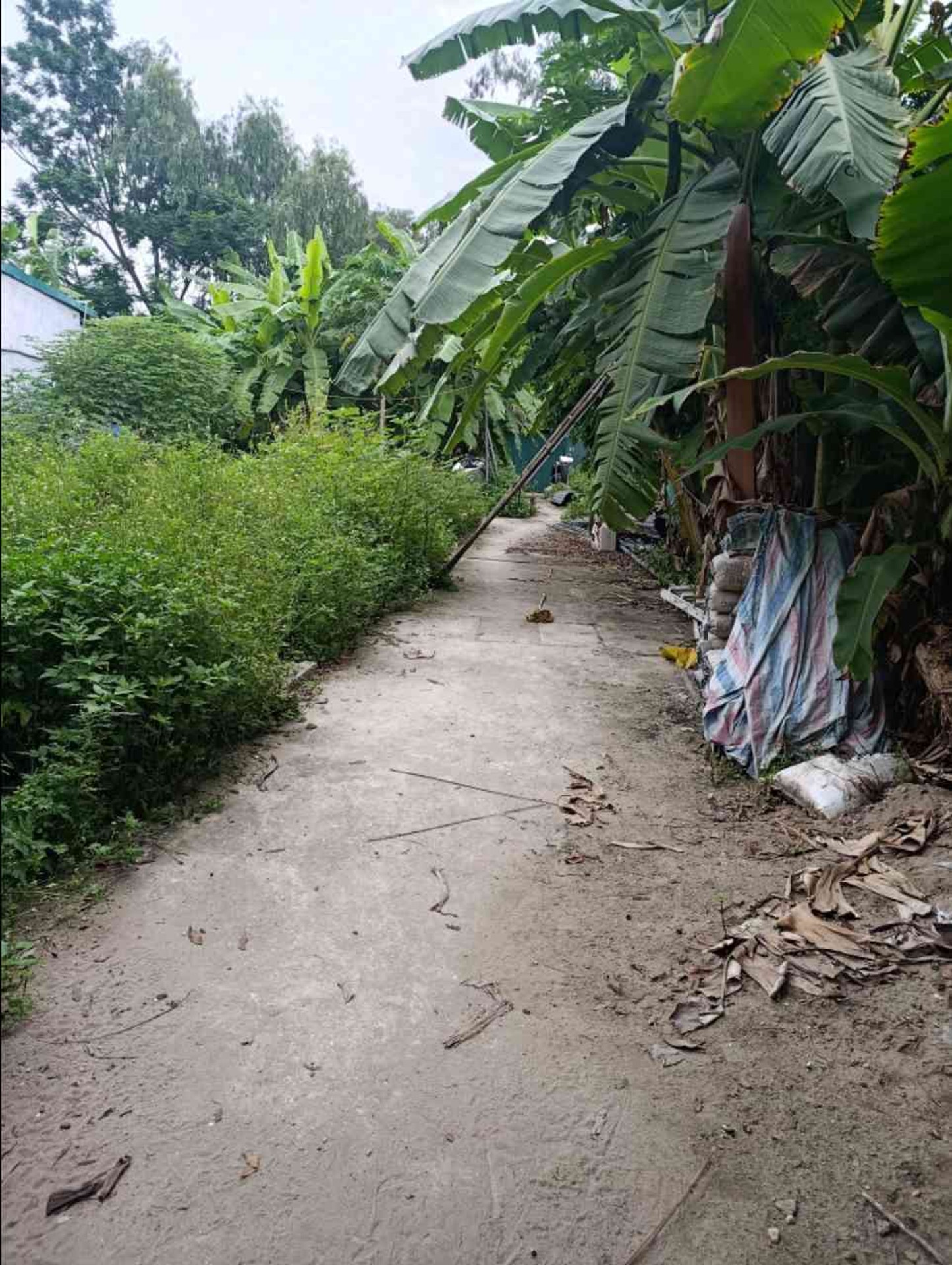 Bán nhà Vĩnh Hưng - diện tích 39m2 0 tầng - Mảnh đất màu mỡ còn xót lại - giá 0,95 tỷ