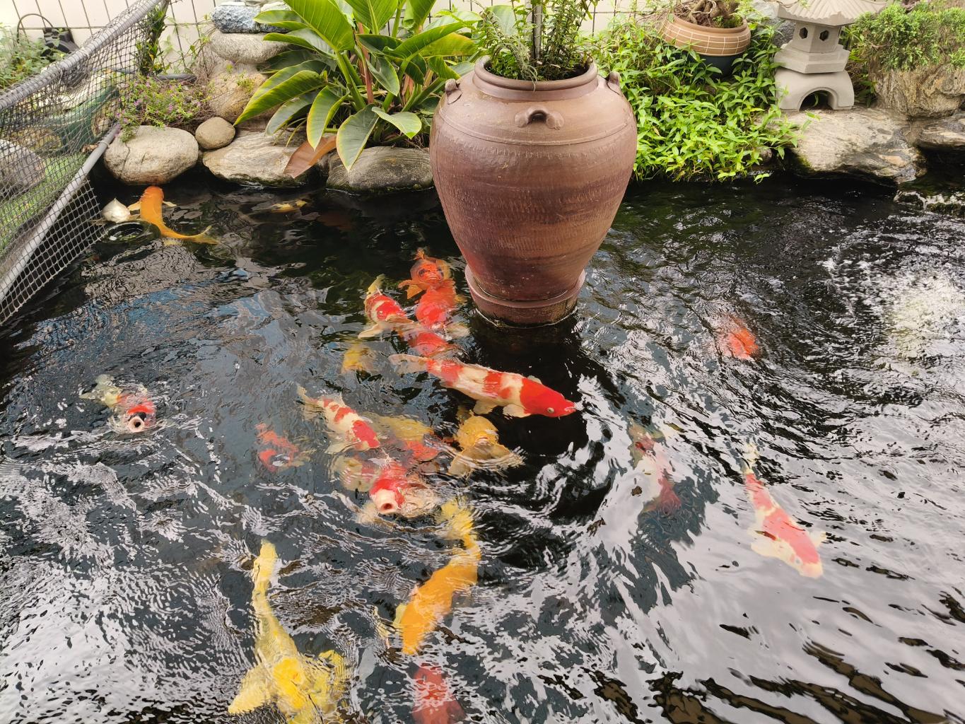 Bán nhà Bạch Mai - diện tích 383m2 9 tầng - TÒA NHÀ MẶT PHỐ ĐỐI DIỆN TRUNG TÂM GHƯƠNG MẠI CHỢ MƠ - giá 227 tỷ