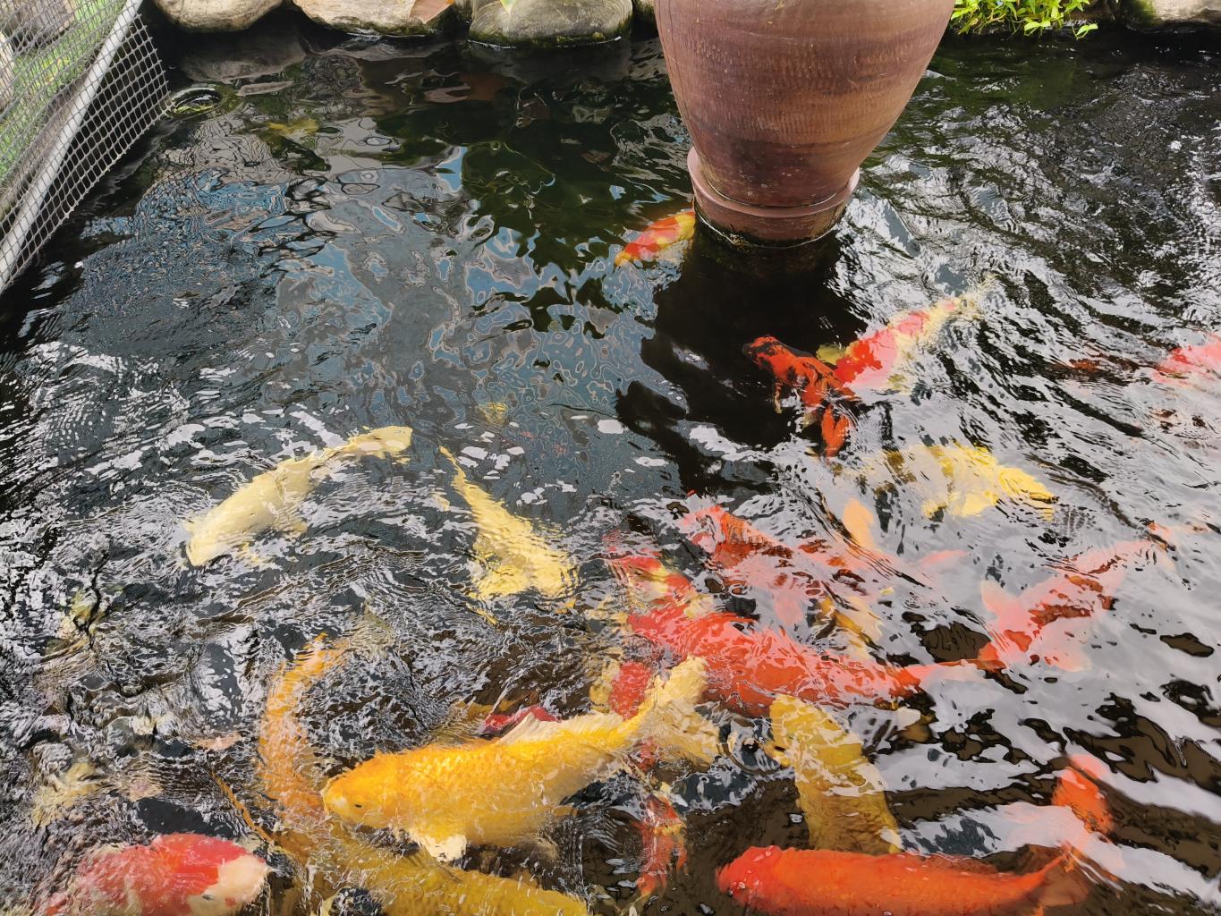 Bán nhà Bạch Mai - diện tích 383m2 9 tầng - TÒA NHÀ MẶT PHỐ ĐỐI DIỆN TRUNG TÂM GHƯƠNG MẠI CHỢ MƠ - giá 227 tỷ