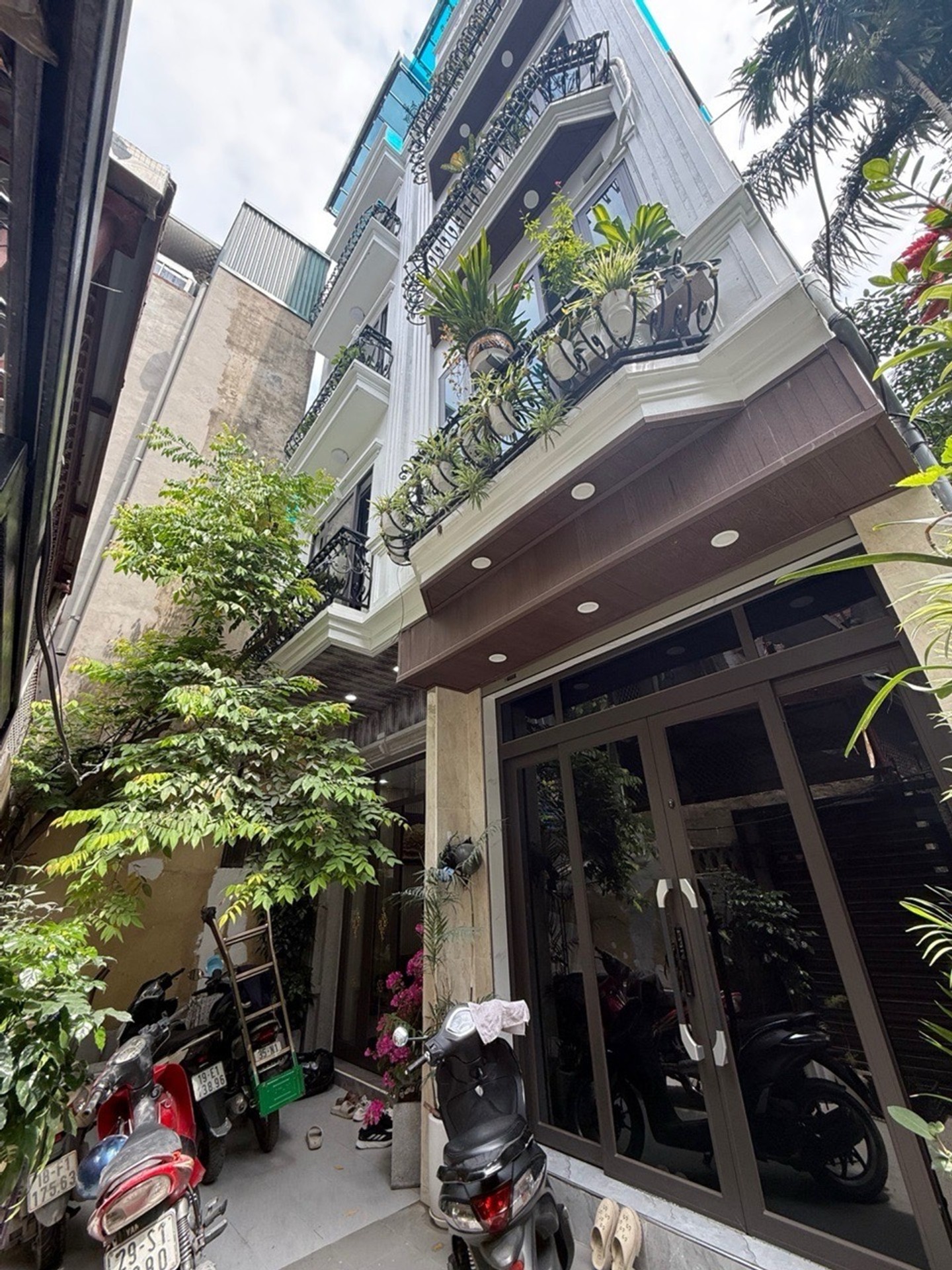 Ảnh đại diện