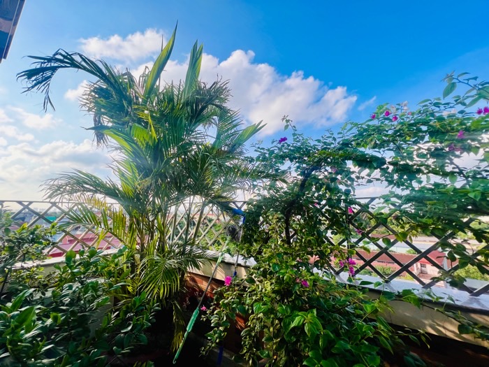 Bán nhà Ngũ Hiệp - diện tích 368m2 7 tầng - MẶT PHỐ - giá 52,5 tỷ