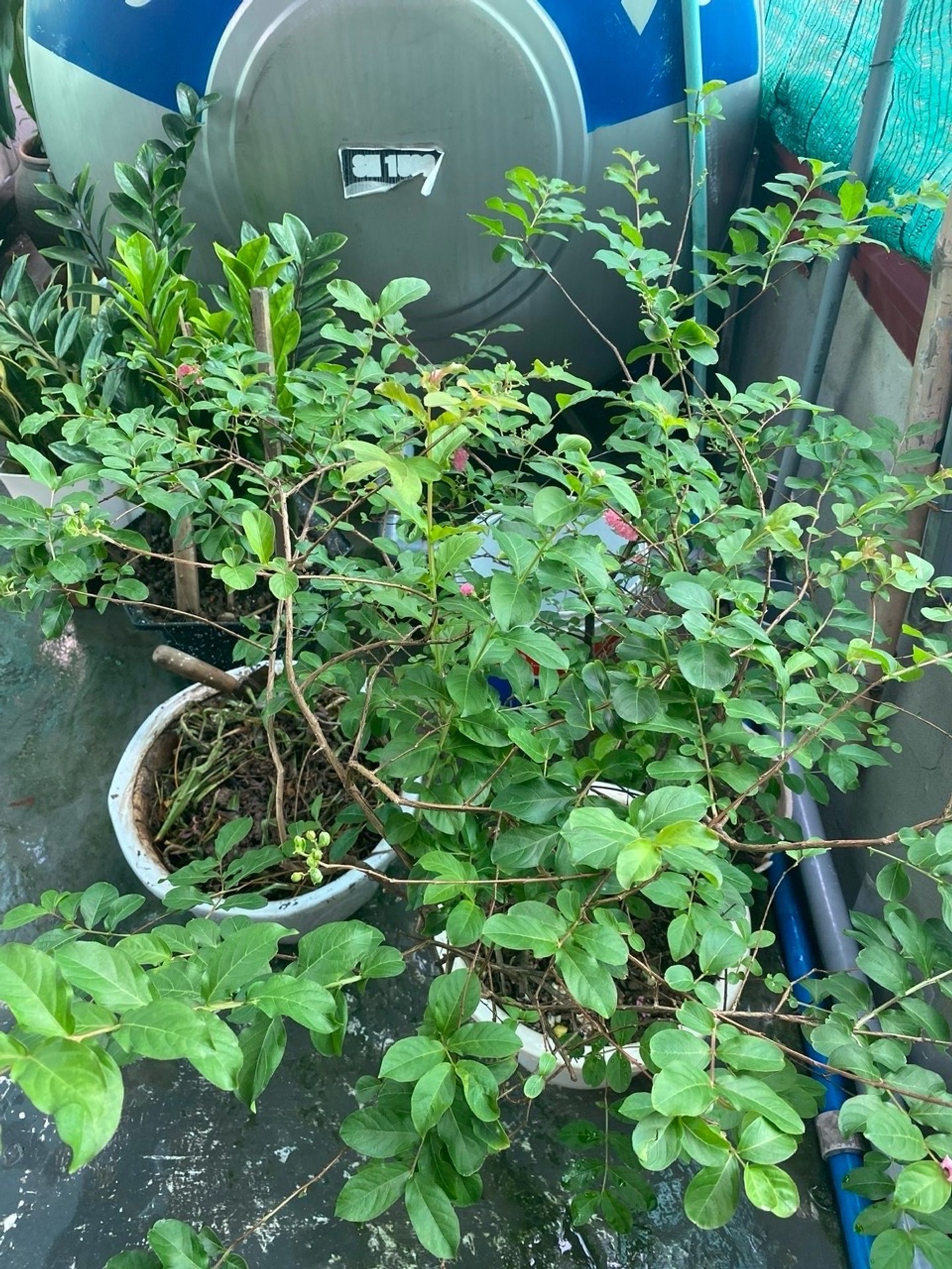 Bán nhà Kim Ngưu - diện tích 36m2 1 tầng - Nhà đẹp hiếm có - giá 6,3 tỷ