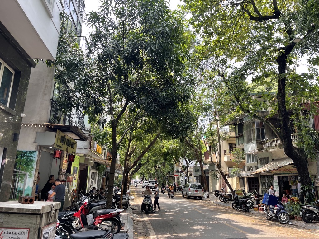 Bán nhà Nguyễn Huy Tự - diện tích 96m2 10 tầng - Lô góc 3 mặt thoáng - giá 119 tỷ