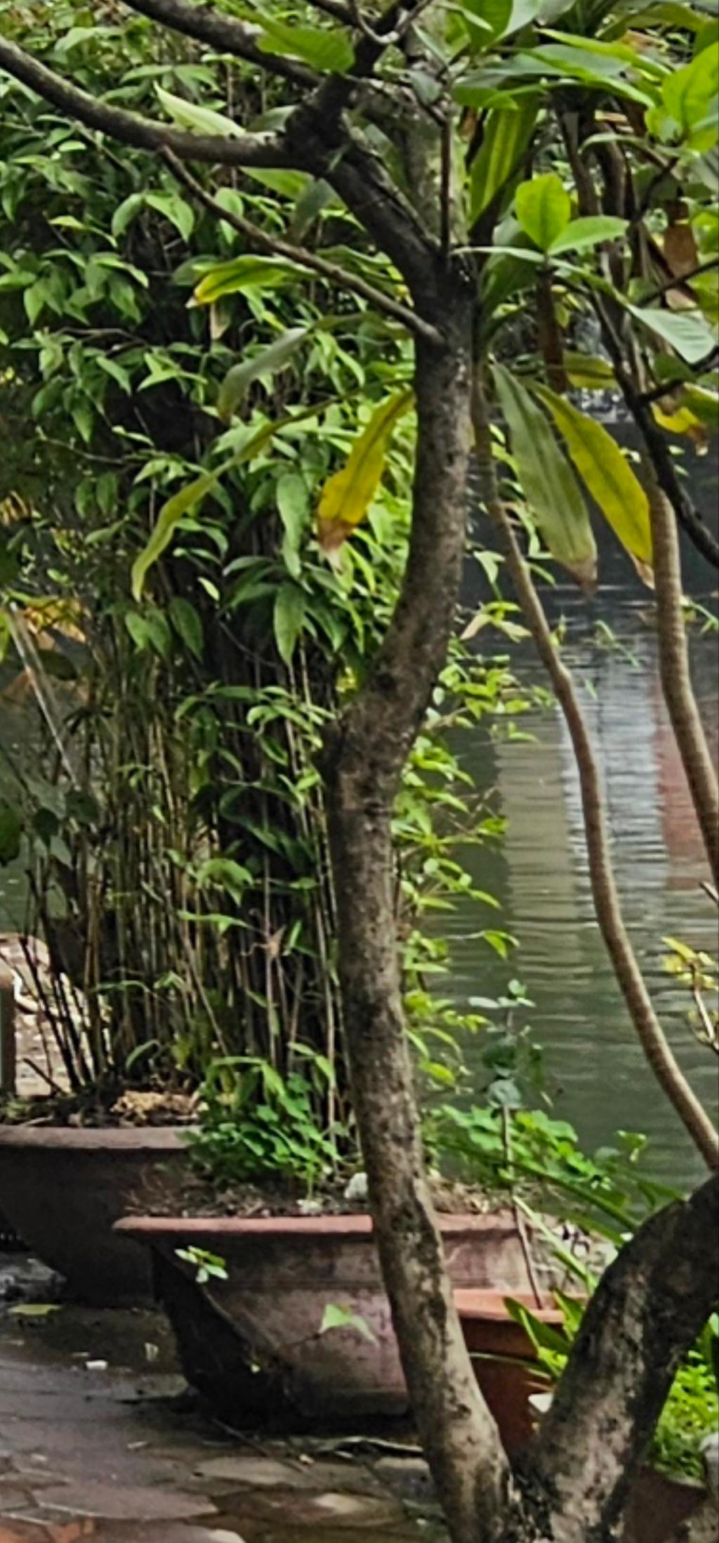 Bán nhà Vũ Thạnh - diện tích 100m2 2 tầng - Lô góc - giá 29 tỷ