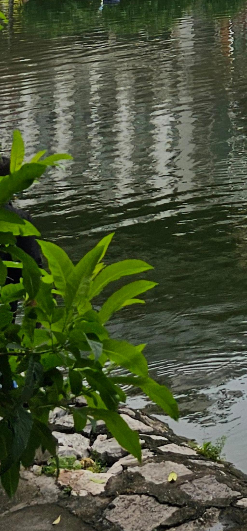 Bán nhà Vũ Thạnh - diện tích 100m2 2 tầng - Lô góc - giá 29 tỷ