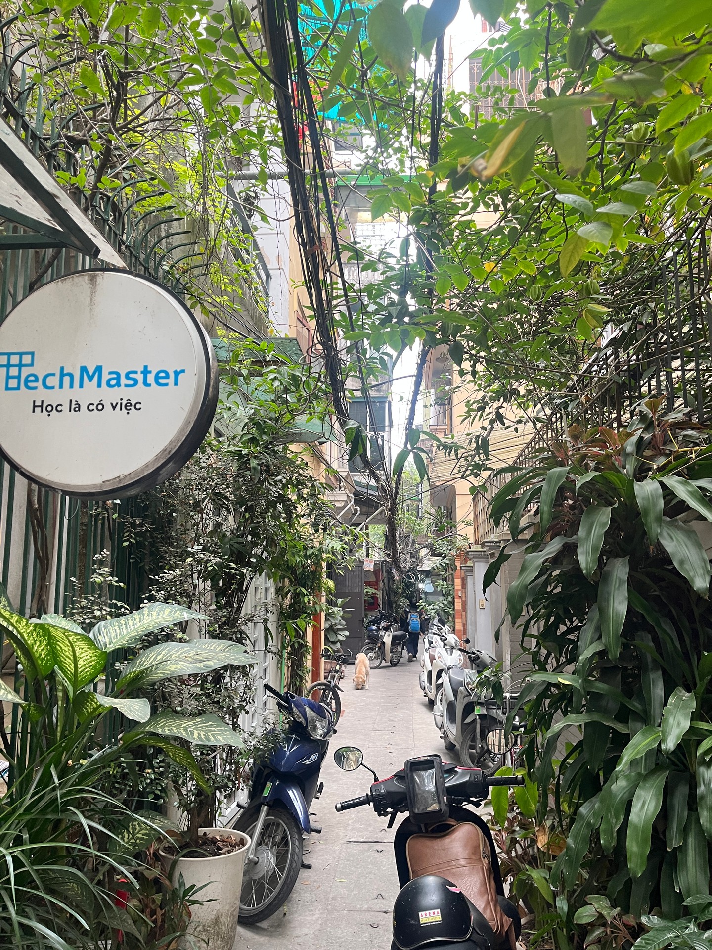 Bán nhà Nguyễn Đình Chiểu - diện tích 64.2m2 4 tầng - Lô góc 2 mặt thoáng - giá 37 tỷ