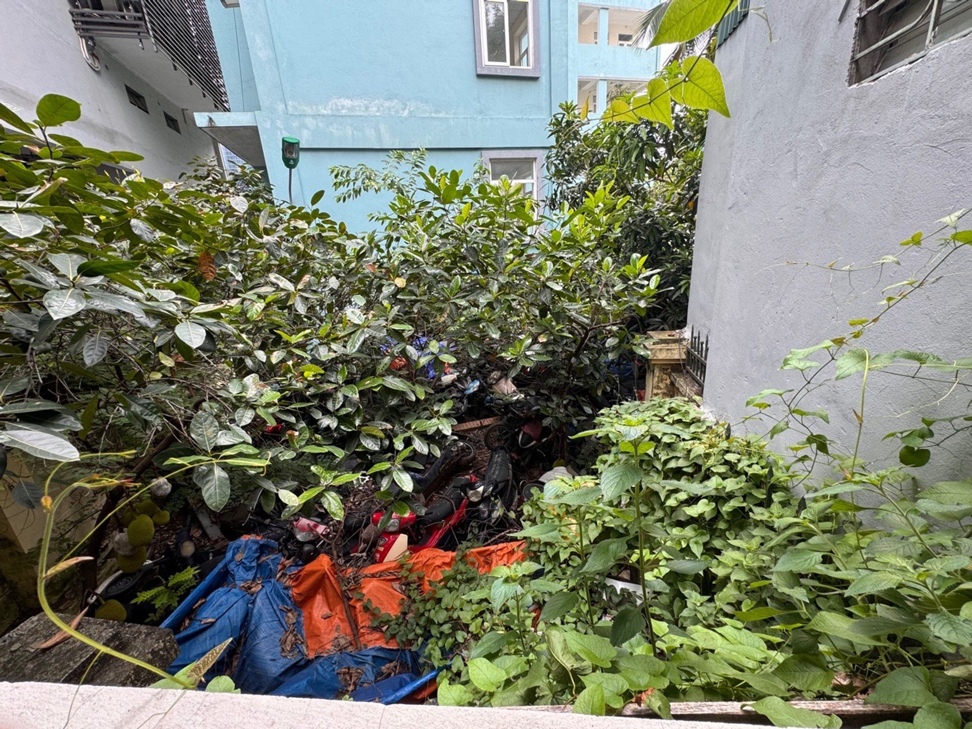 Bán nhà Cát Linh - diện tích 37m2 2 tầng - Gần phố nhiều tiện ích - giá 5,6 tỷ