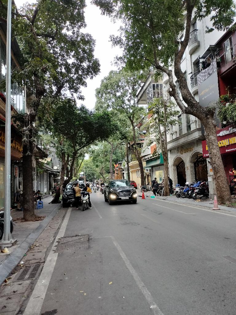 Bán nhà Nguyễn Bỉnh Khiêm - diện tích 51m2 2 tầng - LÔ GÓC, SIÊU HIẾM - giá 40 tỷ