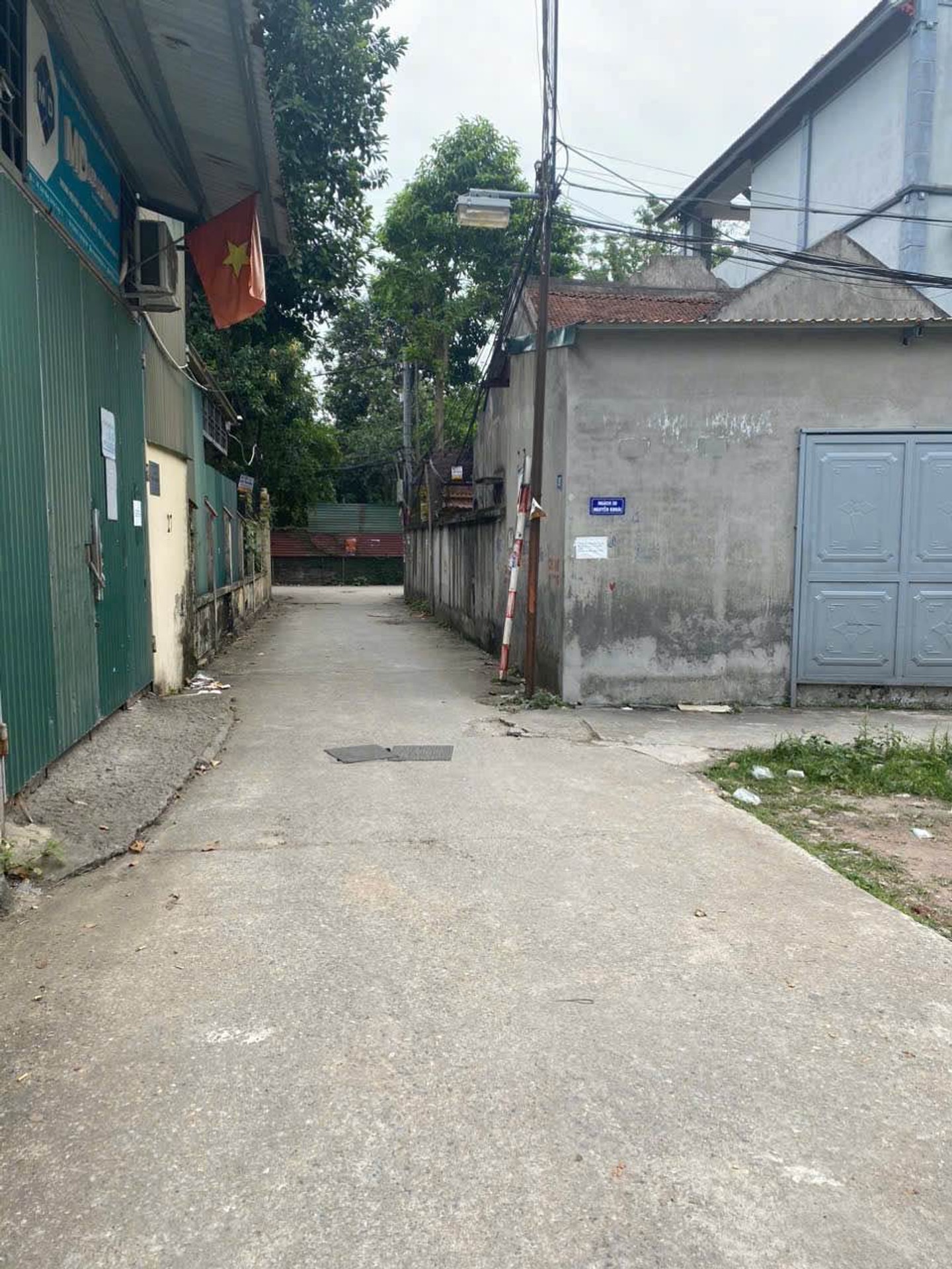 Ảnh đại diện