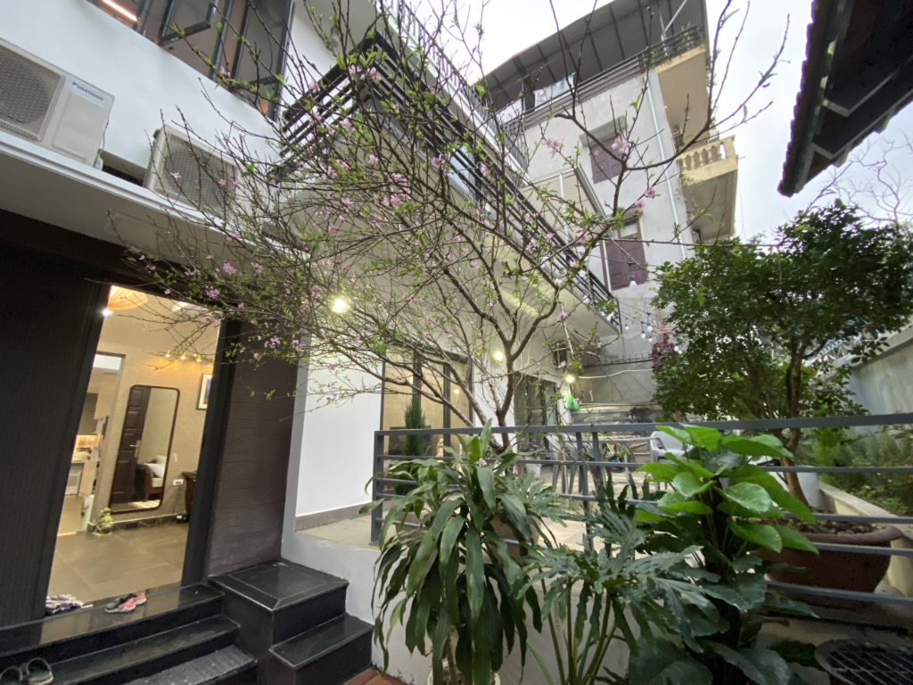 Ảnh đại diện