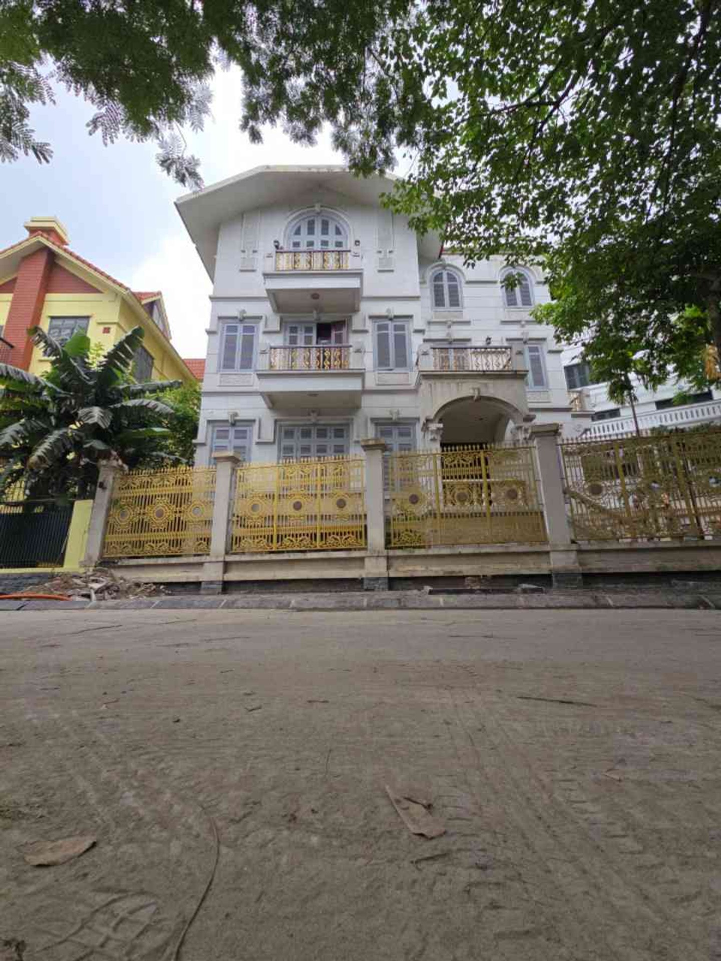 Ảnh đại diện