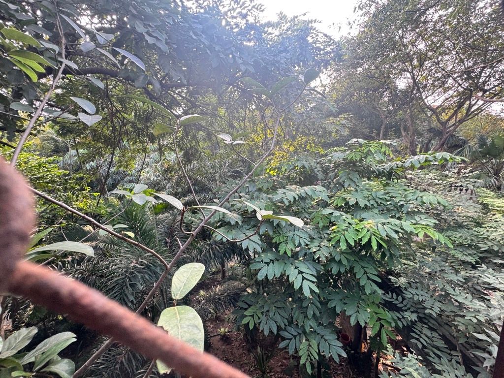 Bán nhà Hạ Đình - diện tích 72m2 3 tầng - Lô góc 2 mặt thoáng - giá 30,5 tỷ