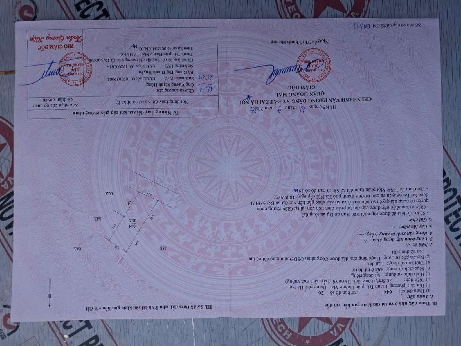Ảnh đại diện