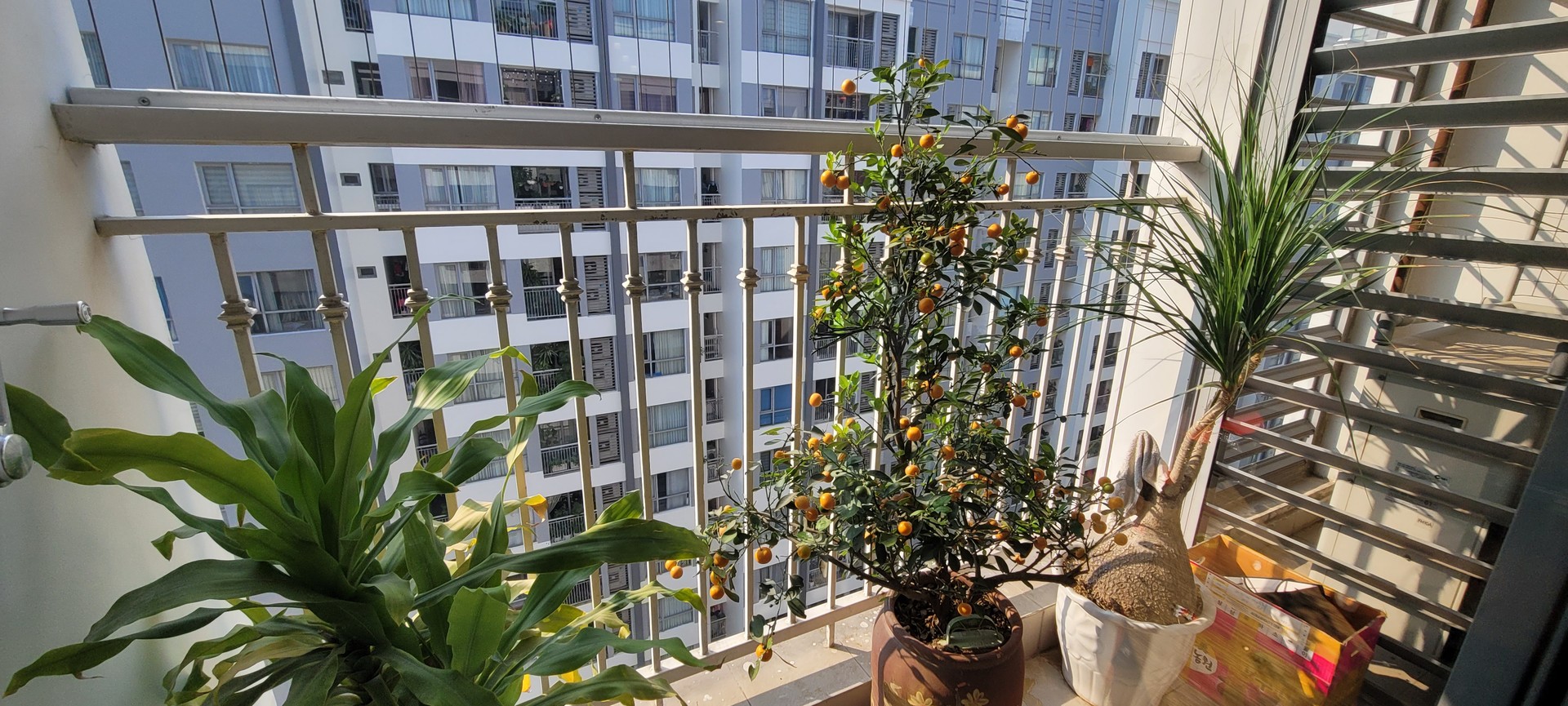 Bán nhà Minh Khai - diện tích 85m2 1 tầng - Căn hộ chung cư cao cấp - giá 12,6 tỷ