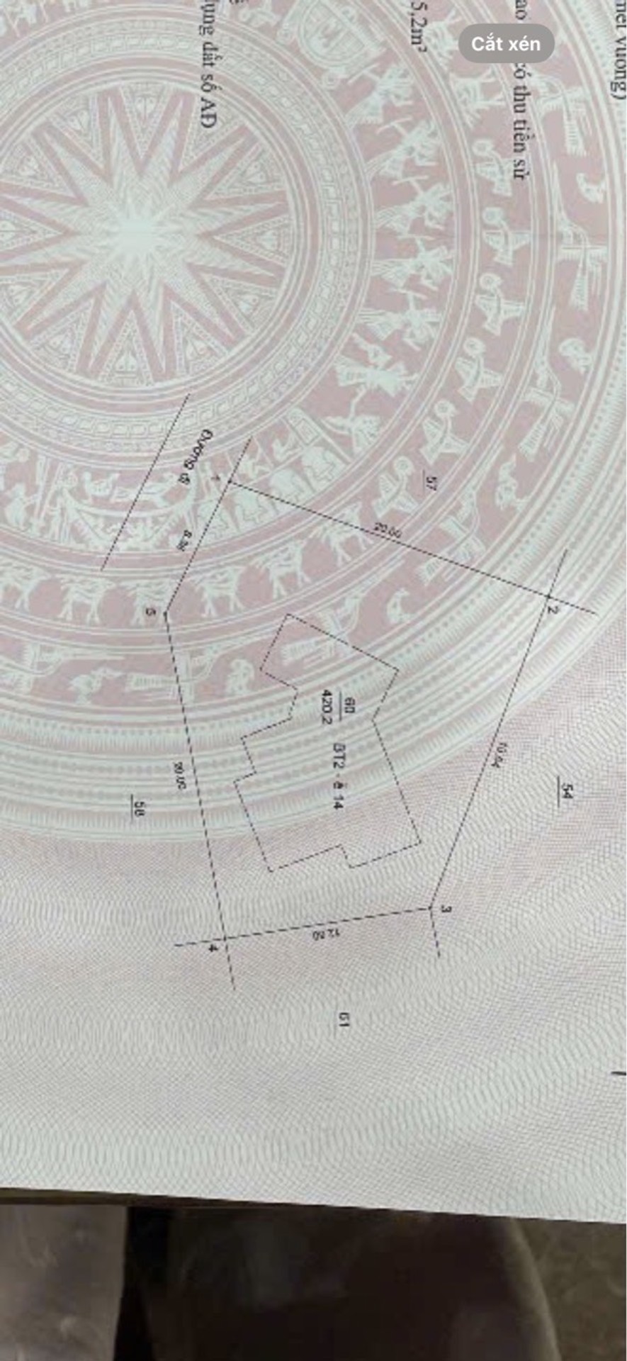 Ảnh đại diện