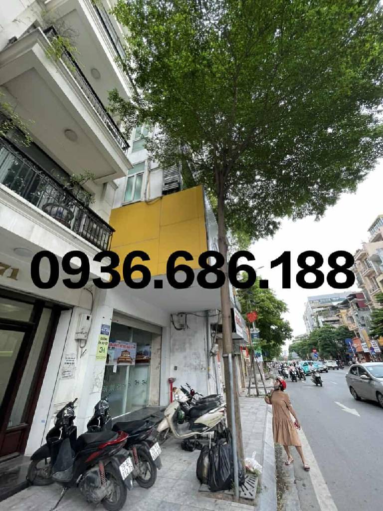 Bán nhà Tôn Đức Thắng - diện tích 175m2 6 tầng - Ô tô đỗ cửa - giá 140 tỷ