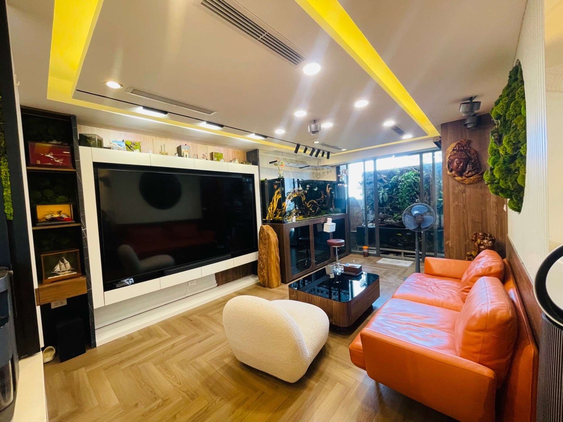 Ảnh đại diện