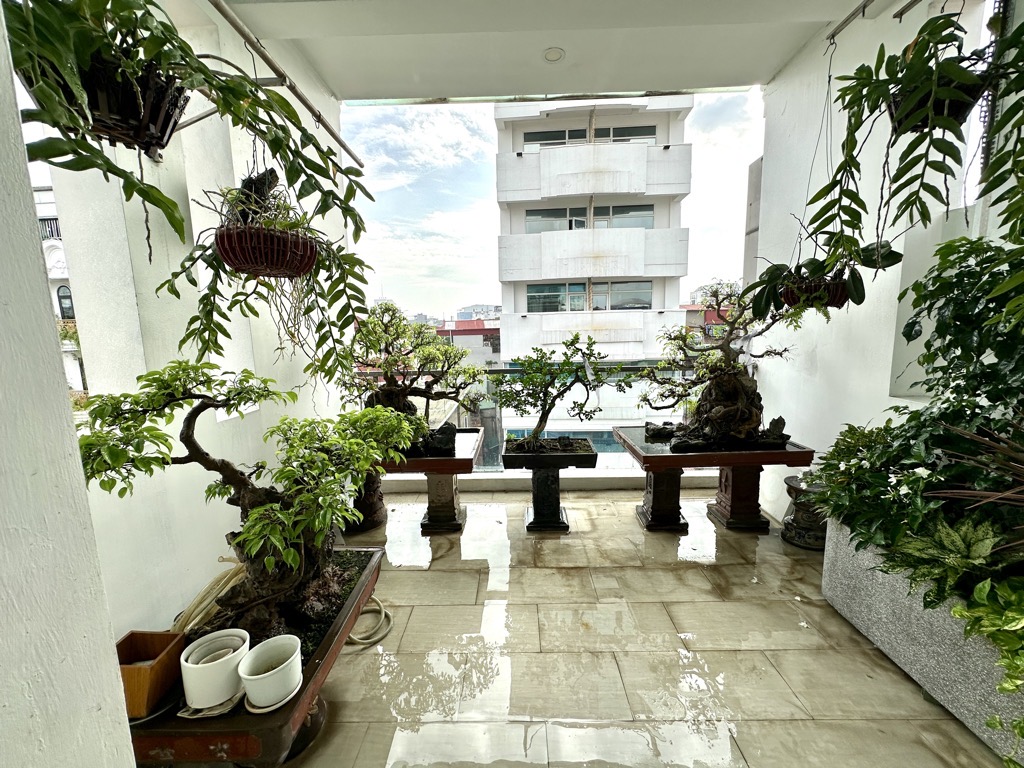 Bán nhà Bạch Mai - diện tích 112.2m2 7 tầng - SIÊU PHẨM MẶT PHỐ - giá 61 tỷ