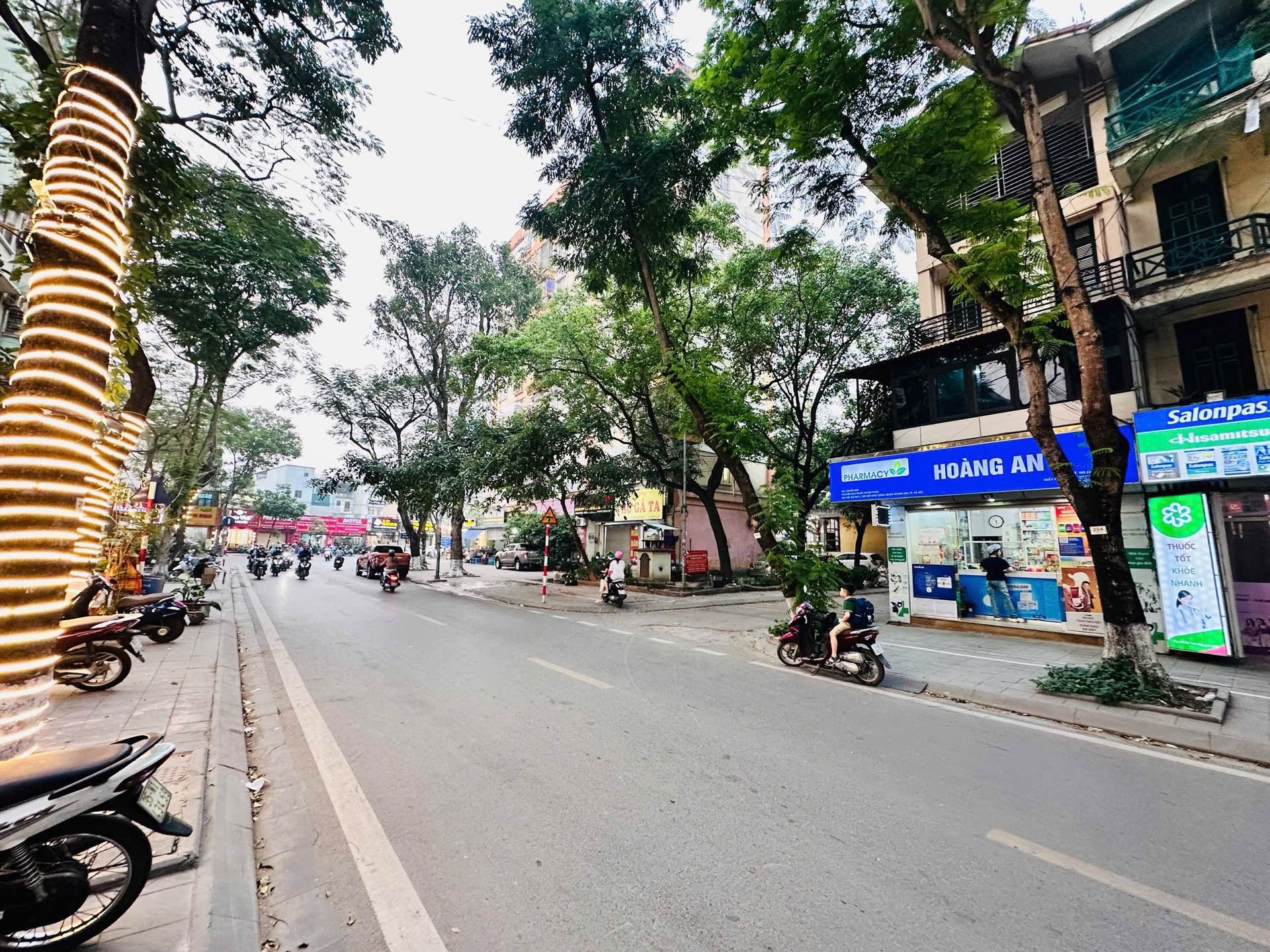 Bán nhà Trần Nguyên Đán - diện tích 80m2 4 tầng - Mặt phố siêu ngon - giá 55 tỷ