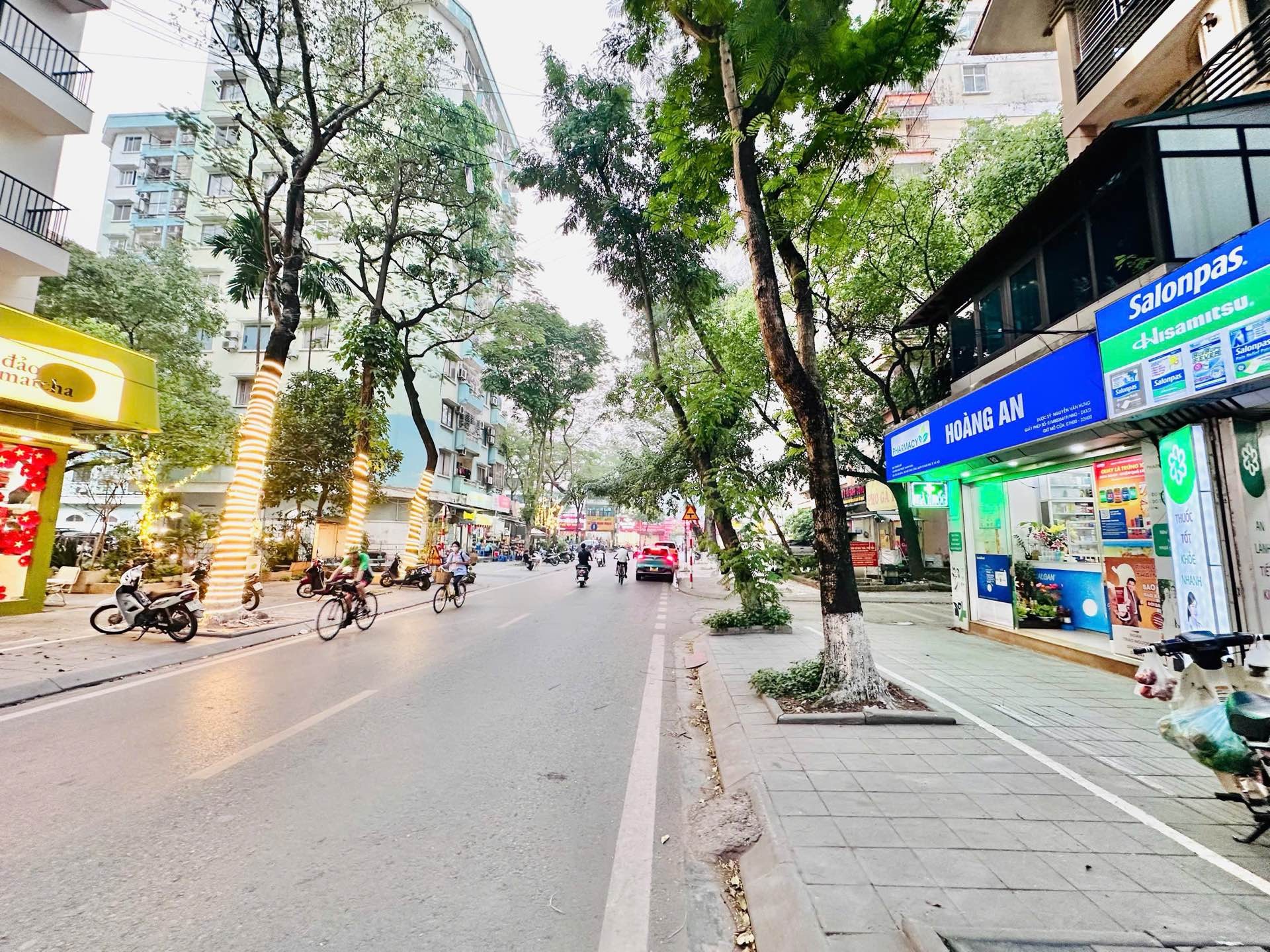 Bán nhà Trần Nguyên Đán - diện tích 80m2 4 tầng - Mặt phố siêu ngon - giá 55 tỷ