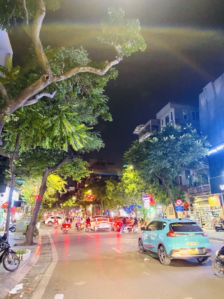 Bán nhà Phố Huế - diện tích 43m2 1 tầng - Mặt phố kinh doanh đỉnh - giá 15,5 tỷ