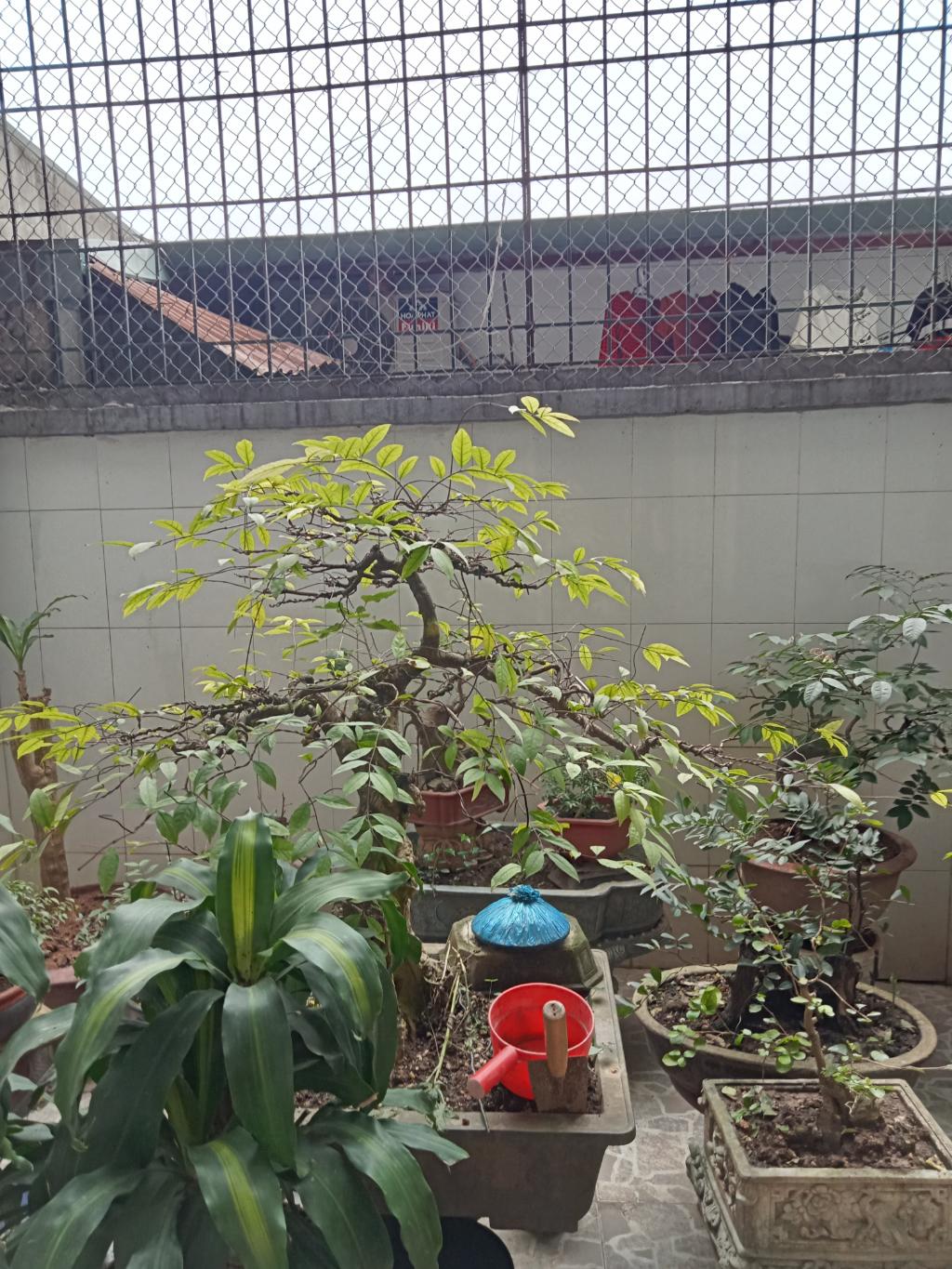 Bán nhà Định Công Hạ - diện tích 103m2 4 tầng - Ô TÔ TRÁNH NHAU - giá 27 tỷ