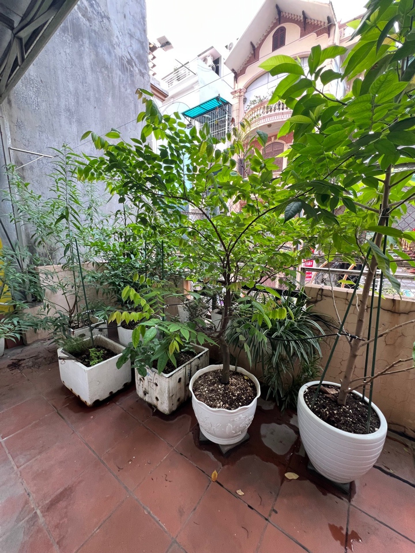 Bán nhà Nguyễn Ngọc Nại - diện tích 75m2 4 tầng - Mặt phố kinh doanh đỉnh - giá 25 tỷ