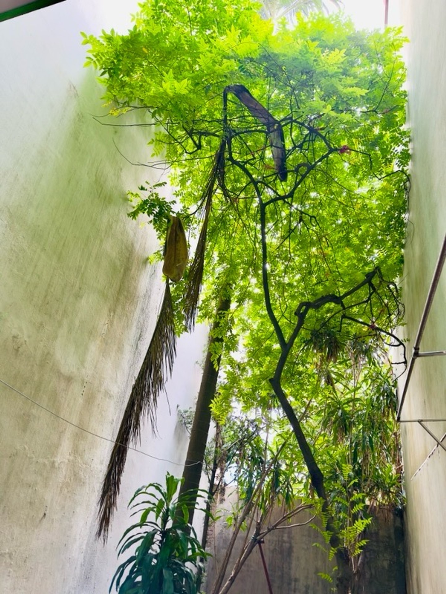Bán nhà Bùi Xương Trạch - diện tích 82m2 3 tầng - ô tô tránh - giá 18,5 tỷ