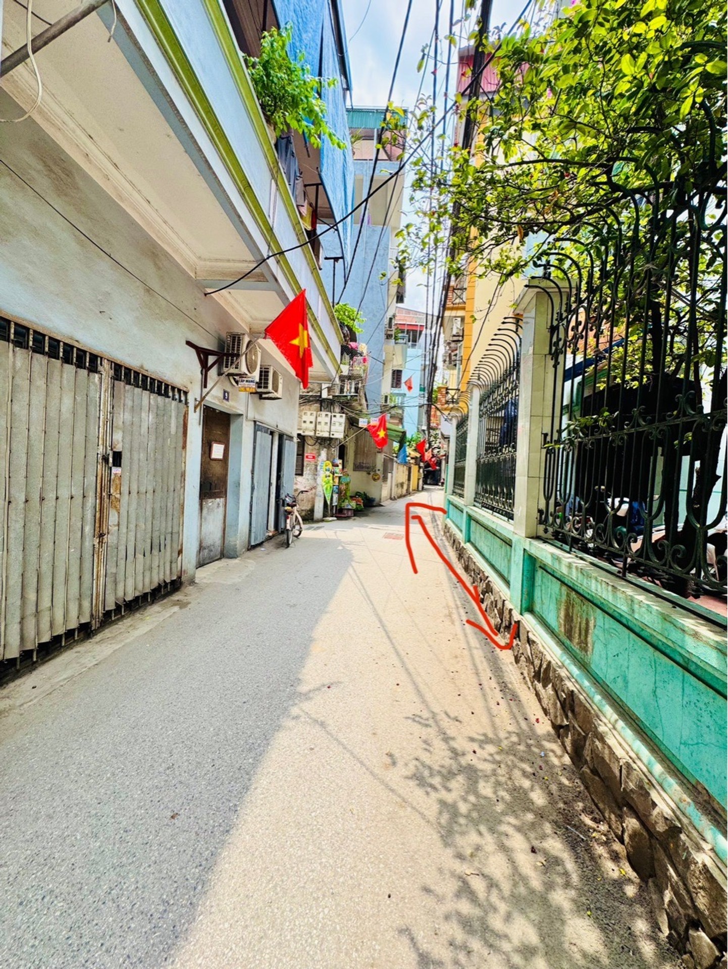 Ảnh đại diện
