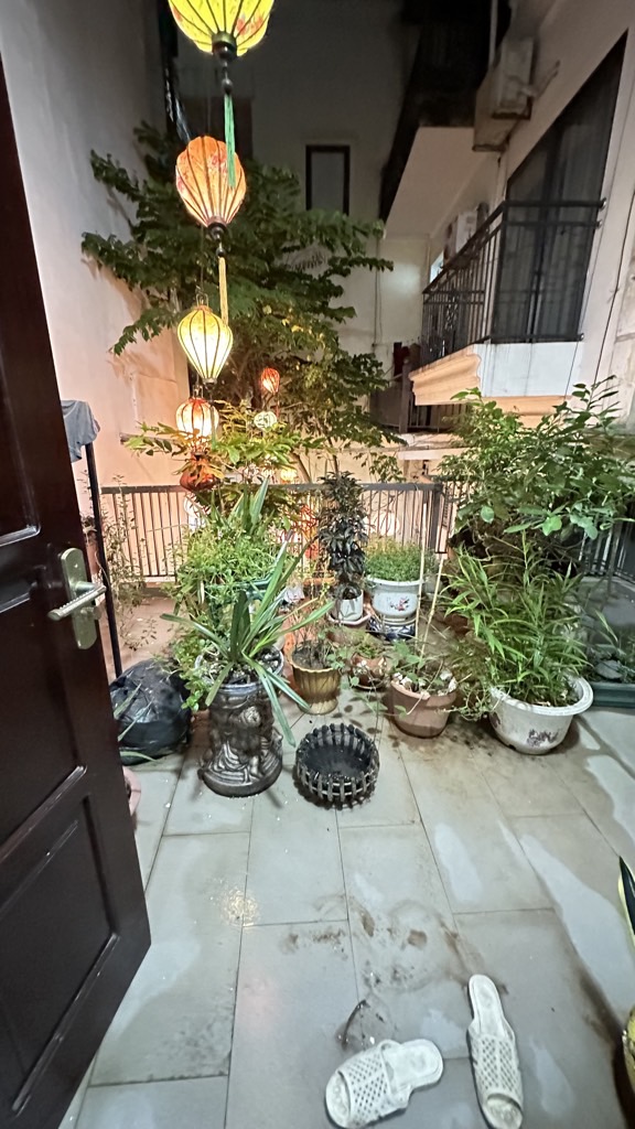 Ảnh đại diện
