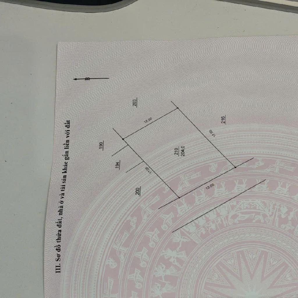 Bán nhà Thúy Lĩnh - diện tích 204m2 0 tầng - Đất - giá 31,8 tỷ