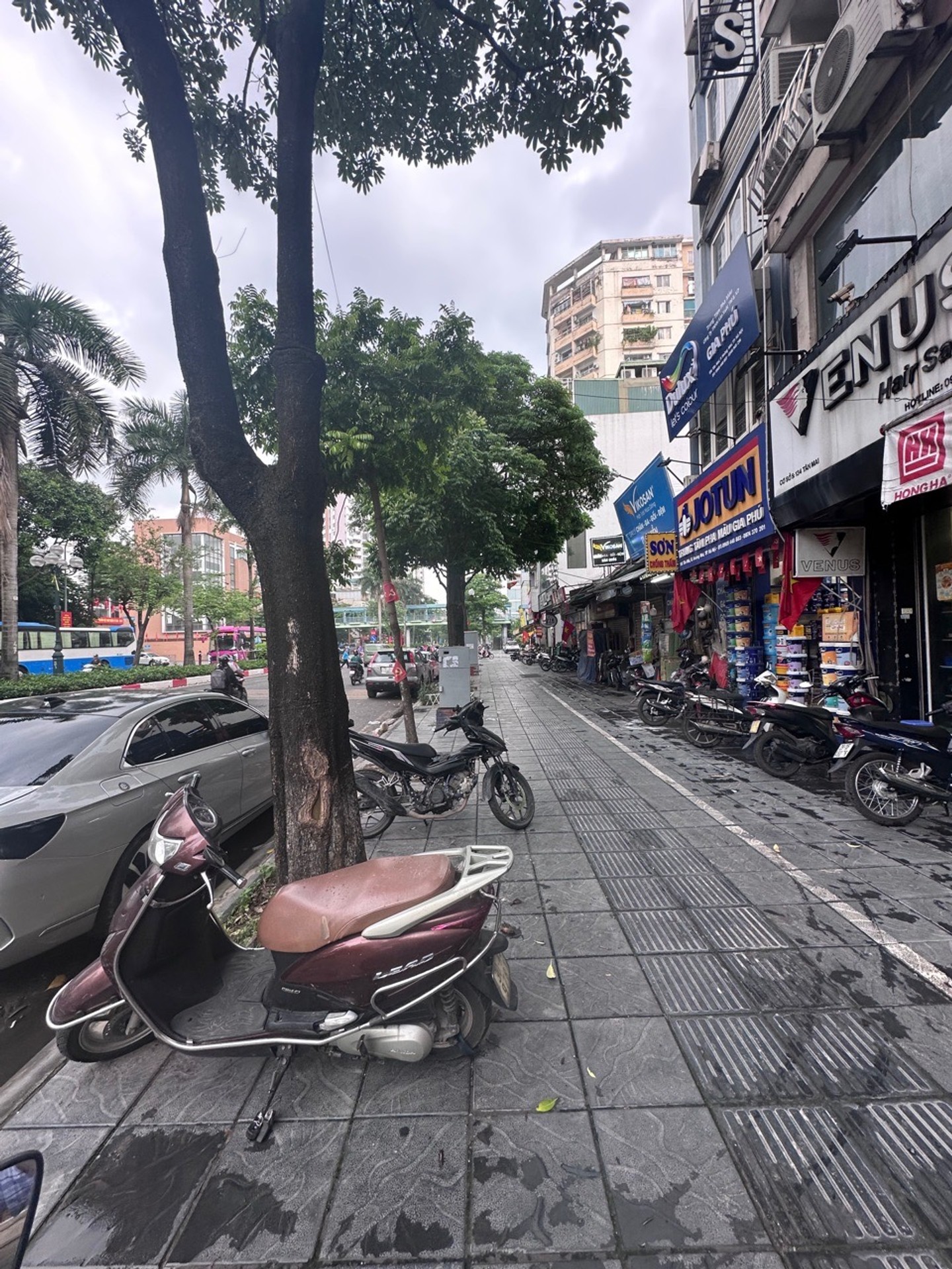Ảnh đại diện