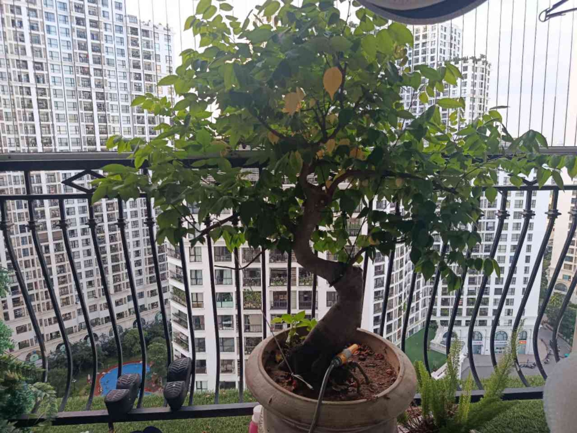 Bán nhà Royal City - diện tích 124m2 18 tầng - Nhà đẹp hiếm có - giá 16,5 tỷ
