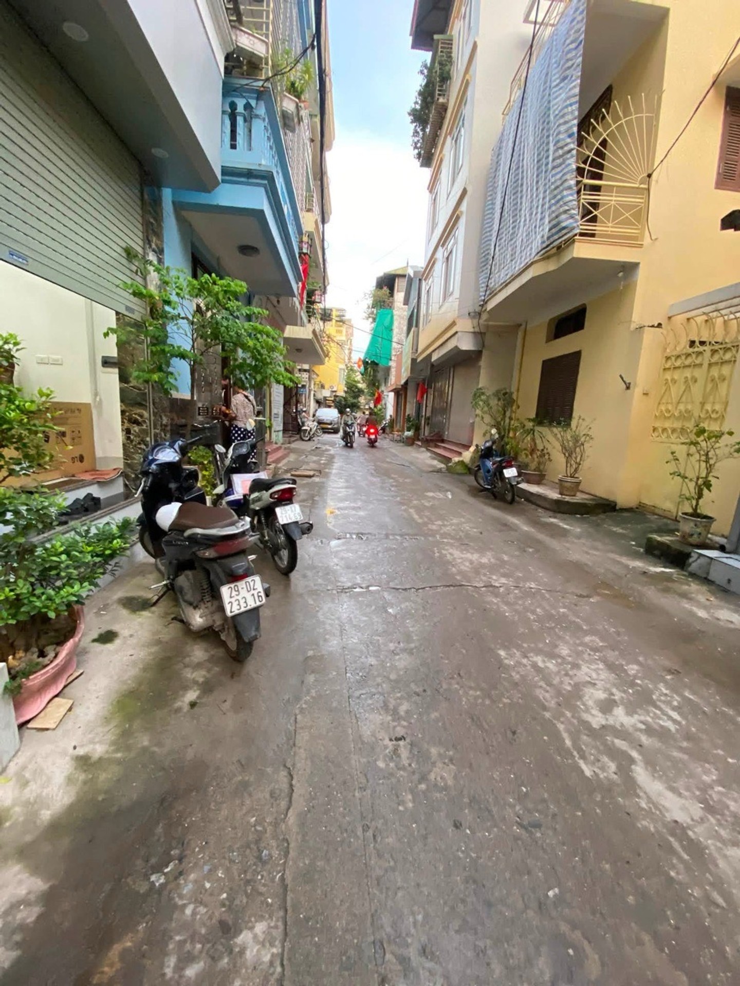 Ảnh đại diện