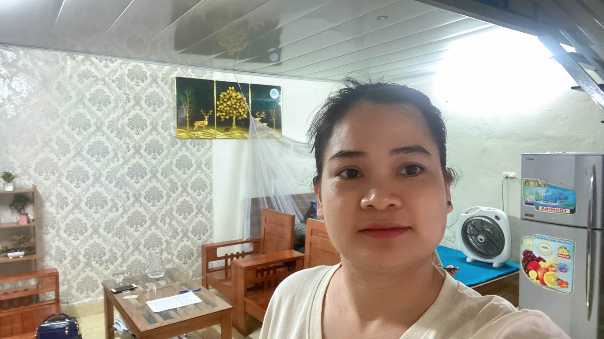 Bán nhà Thúy Lĩnh - diện tích 34m2 1 tầng - ô tô cổng - giá 1,2 tỷ
