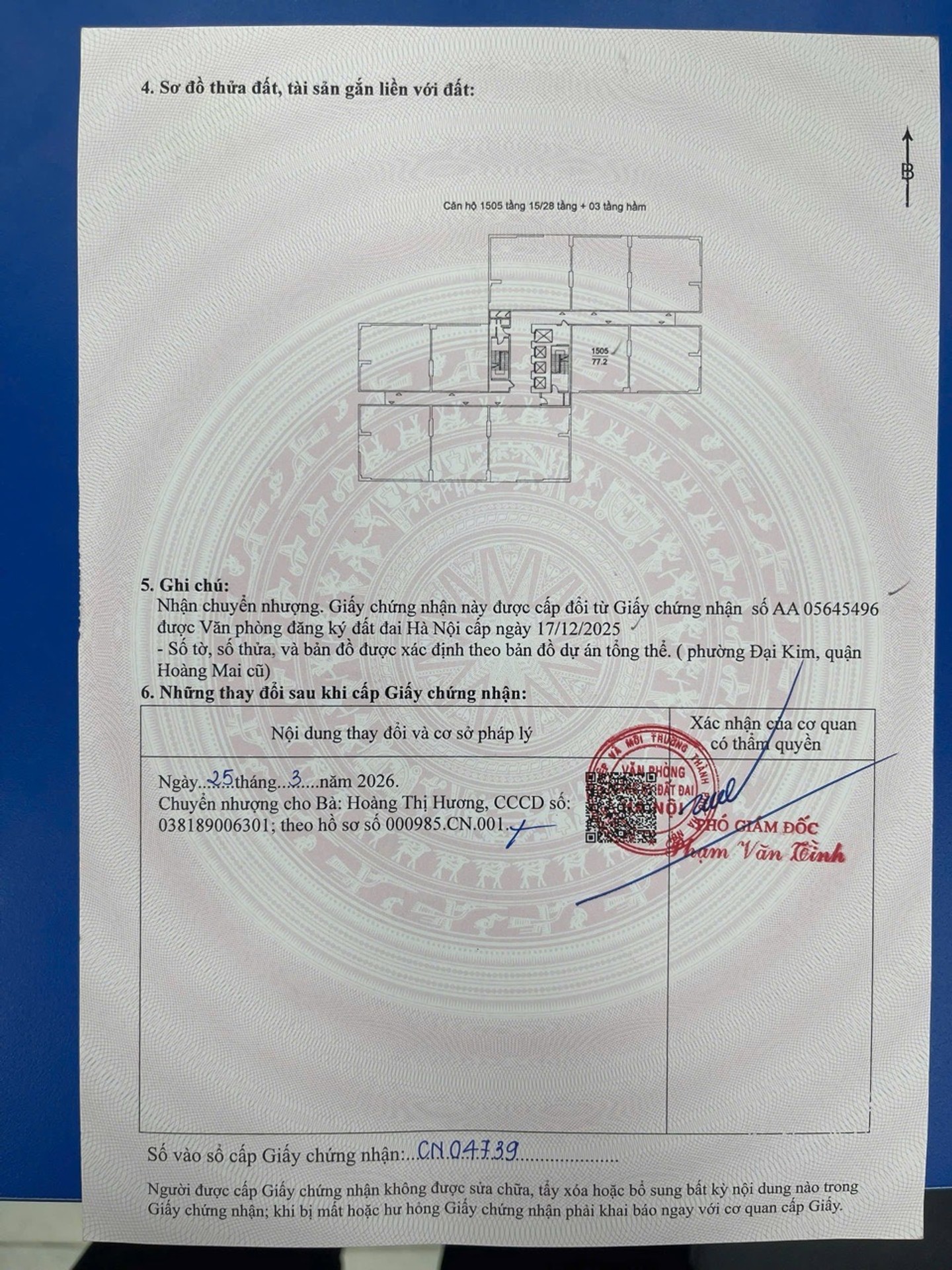 Ảnh đại diện