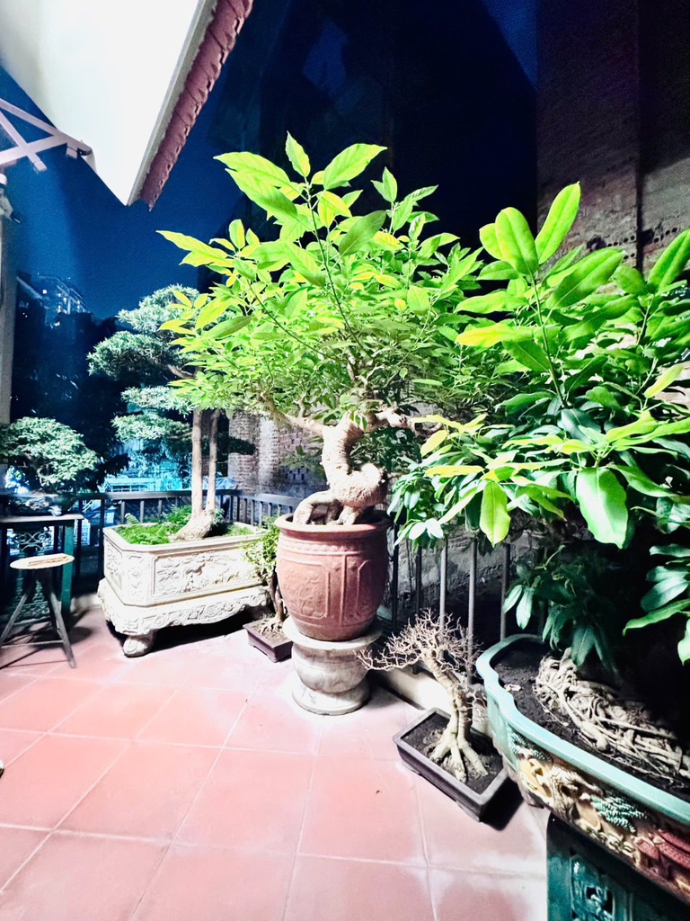 Bán nhà Mễ Trì Thượng - diện tích 127m2 4 tầng - Biệt thự nhà vườn - giá 39,5 tỷ